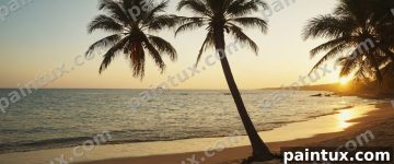 Sonnenaufgang am Strand, eine Palme steh