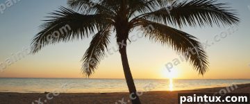 Sonnenaufgang am Strand, eine Palme steh